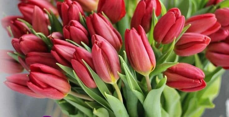 Привітання З Днем Народження своїми словами