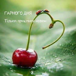 Побажання гарного дня в картинках, прозі, своїми словами, у віршах