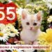 Привітання з ювілеєм 55 років