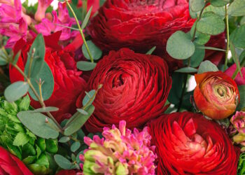 Привітання з Днем народження жінці своїми словами