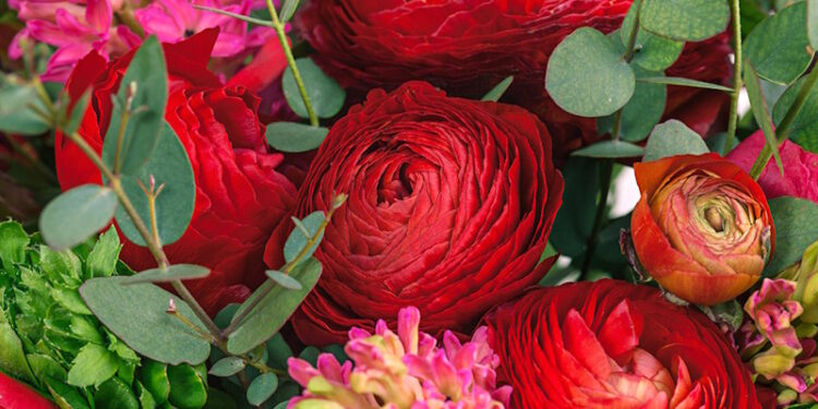 Привітання з Днем народження жінці своїми словами