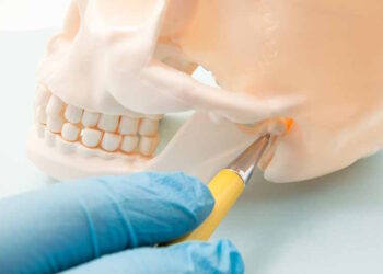 Современная гнатология