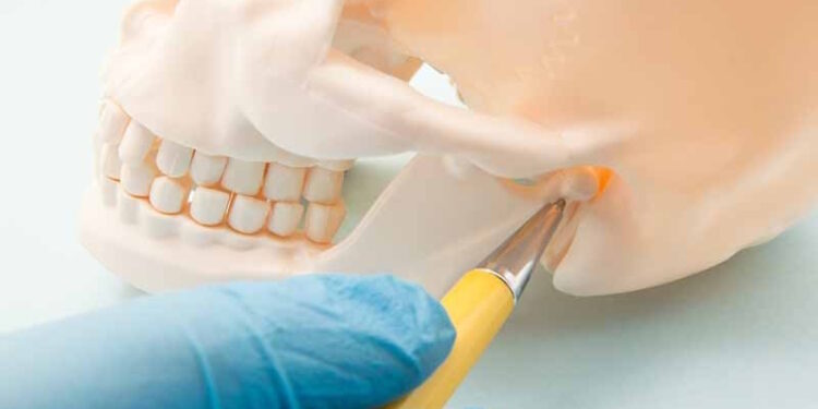 Современная гнатология