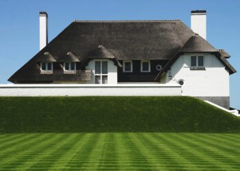 Газон мрії: обираємо ідеальну траву