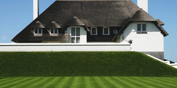 Газон мрії: обираємо ідеальну траву