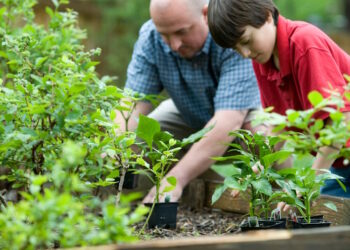 Купити добриво оптом в Україні