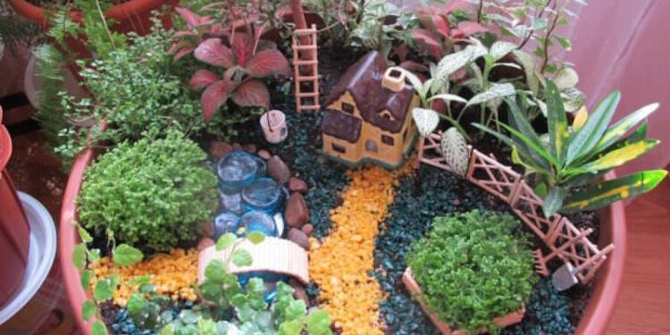 Домашній сад