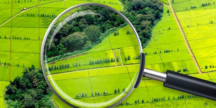 Оцінка земельних ділянок