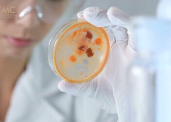 Карциноїдні пухлини кишківника