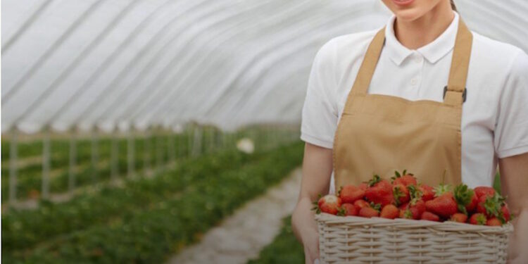 роботи за кордоном