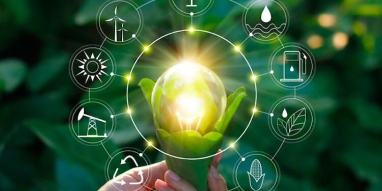 екологічні послуги