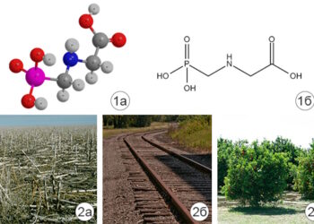 Гербициды сплошного действия