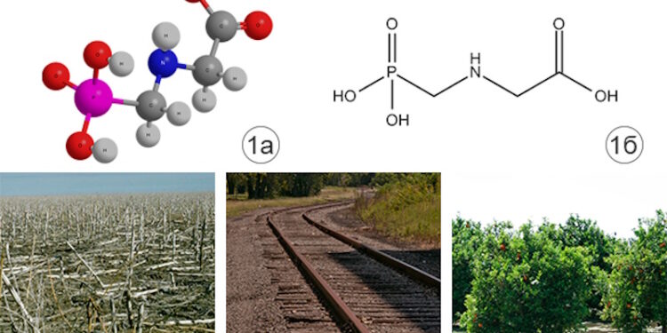 Гербициды сплошного действия