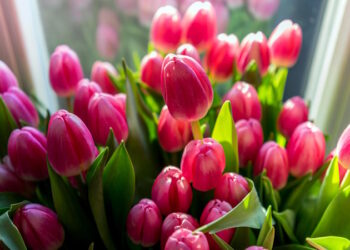 як не зганьбитися з букетом на різних подіях