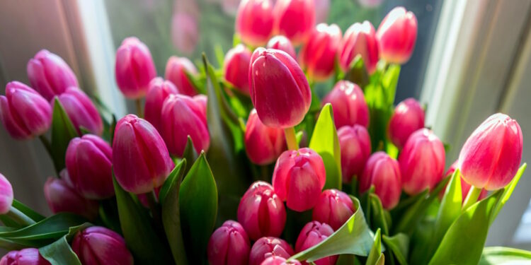 як не зганьбитися з букетом на різних подіях