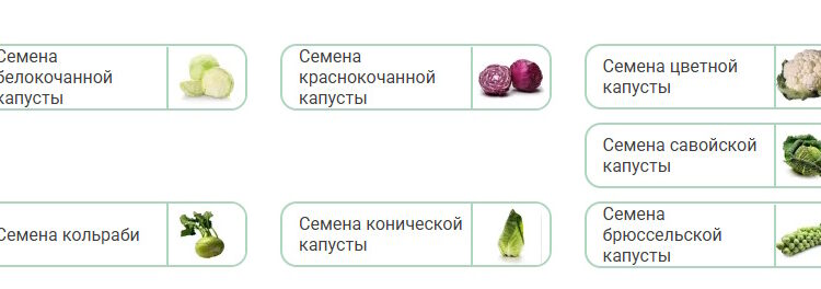 семена