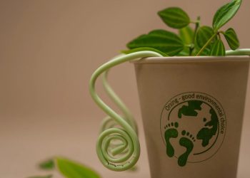 Одноразові стакани з бамбуку