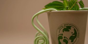 Одноразові стакани з бамбуку