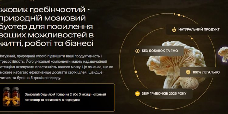 Їжовик гребінчастий