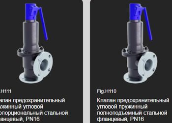 Анатомия клапана: разбор СППК