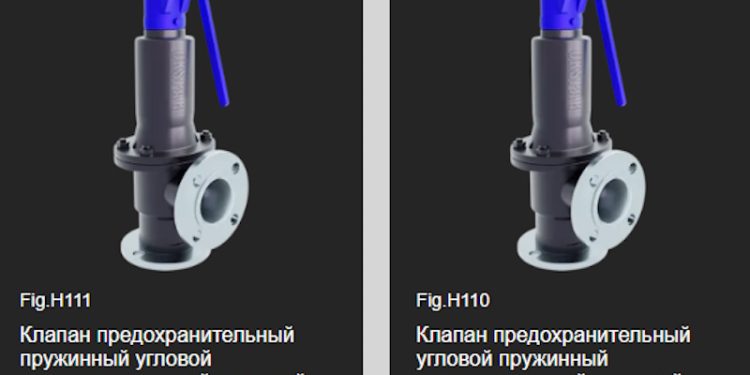 Анатомия клапана: разбор СППК