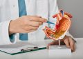 gastroenterologiya